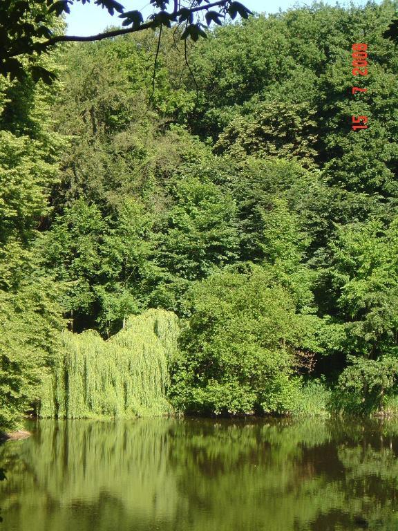 Carmina Am See Karnin  Luaran gambar